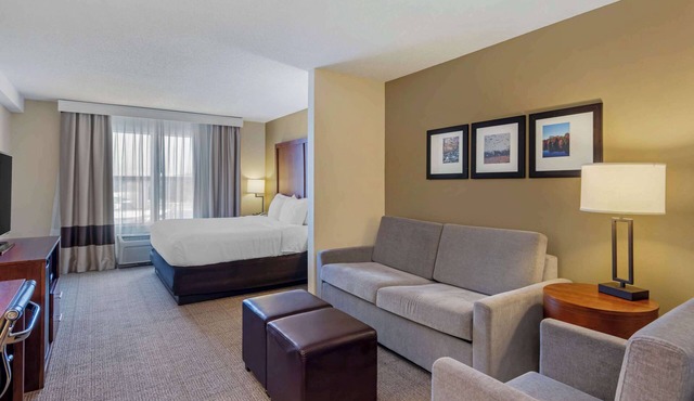 Comfort Inn & Suites Dover near Speedway