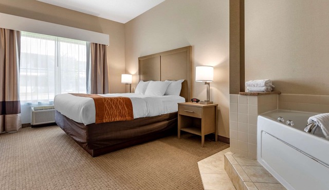 Comfort Inn & Suites Farmington - Victor