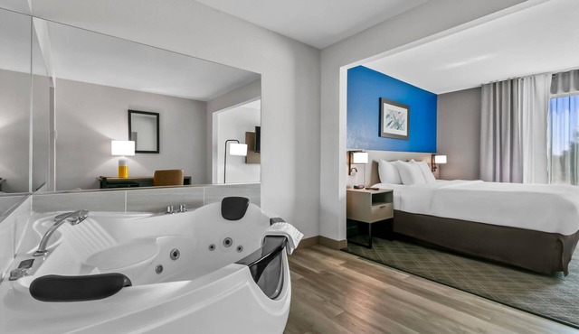 Comfort Inn & Suites Grand Blanc/Flint