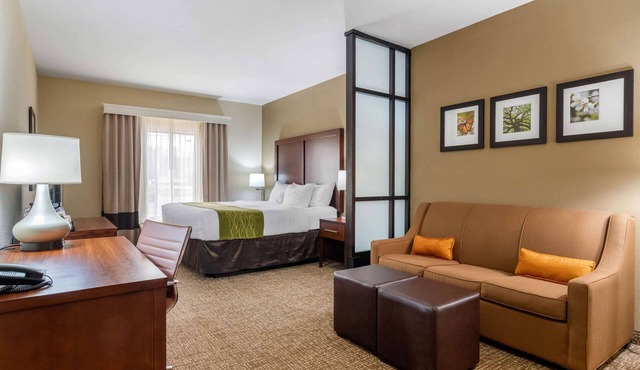 Comfort Inn & Suites Griffin North