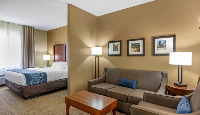 Comfort Inn & Suites Lynchburg Airport - University Area