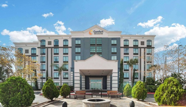 Comfort Inn & Suites New Orleans Airport North