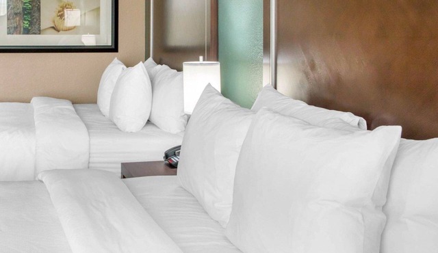 Comfort Inn & Suites San Marcos near Outlet Mall