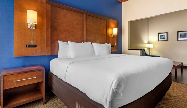 Comfort Inn & Suites Statesboro - University Area