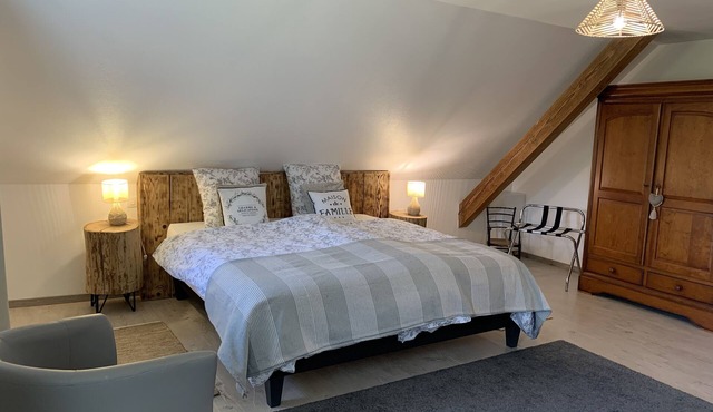 comfort of 150 m2 overlooking the park deer