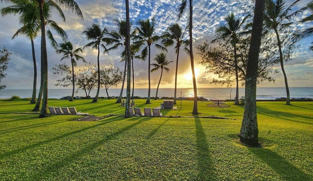 Comfort Resort Blue Pacific