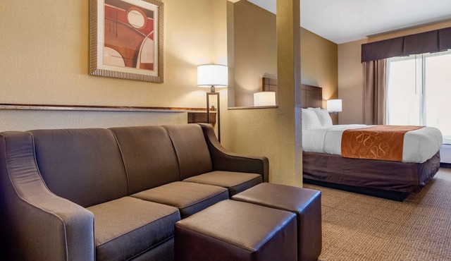 Comfort Suites Airport South