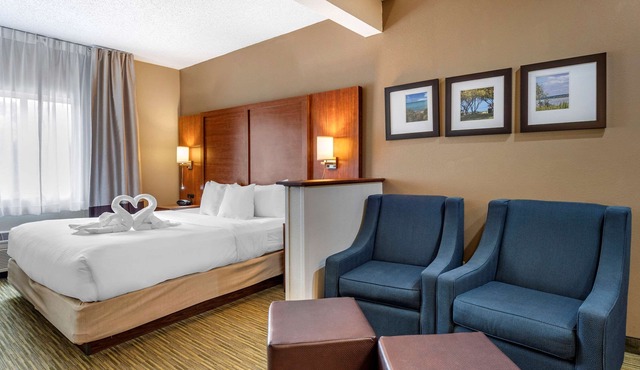 Comfort Suites Elkhart North