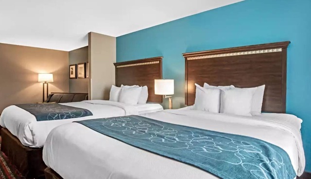 Comfort Suites Fairview Heights - St. Louis