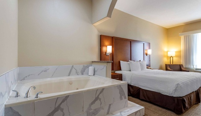 Comfort Suites Houston near Medical Center- NRG Stadium