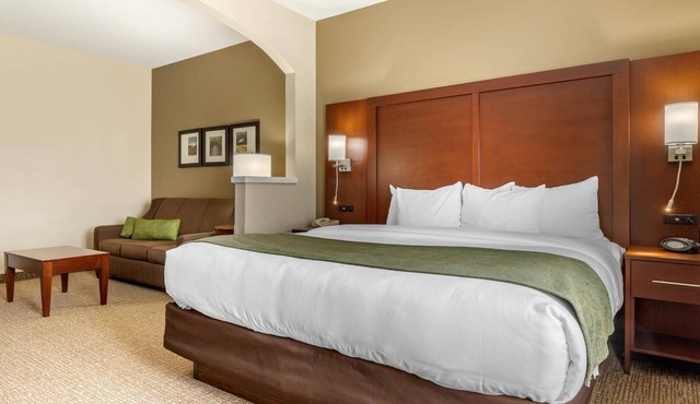 Comfort Suites Johnson City near University