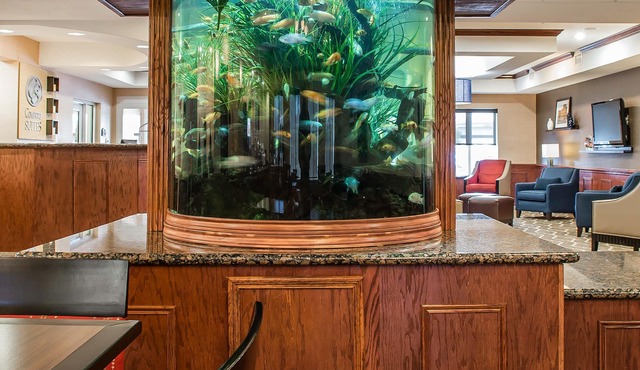 Comfort Suites Near Texas A&M University - Corpus Christi