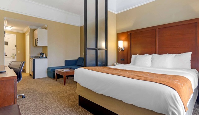 Comfort Suites Savannah North I-95