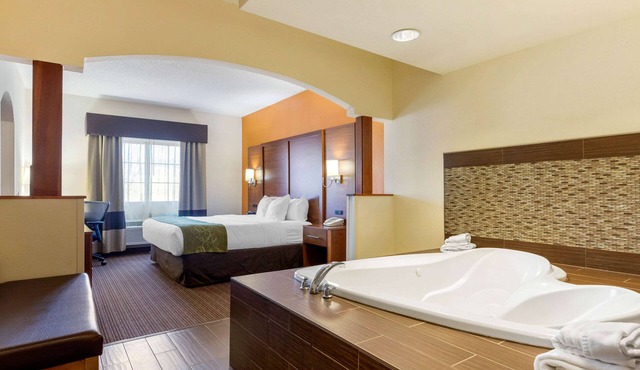 Comfort Suites Stevensville - St. Joseph
