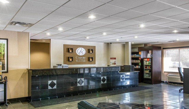 Comfort Suites Wixom - Novi