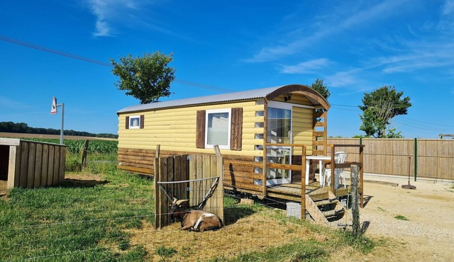 Comfortable bohemian caravan at educational farm near Nancy