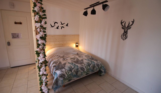 Comfortable T1 apartment at Lac du Der