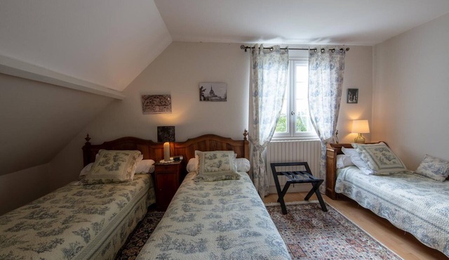 Comfortable family suite with WiFi in Saint-Benoît-sur-Loire, pets allowed