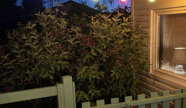 Comfortable mobile home for 8 people near beaches and town with swimming pool