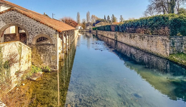 Comfortable and artistic cottage centrally located in Verteuil-sur-Charente.