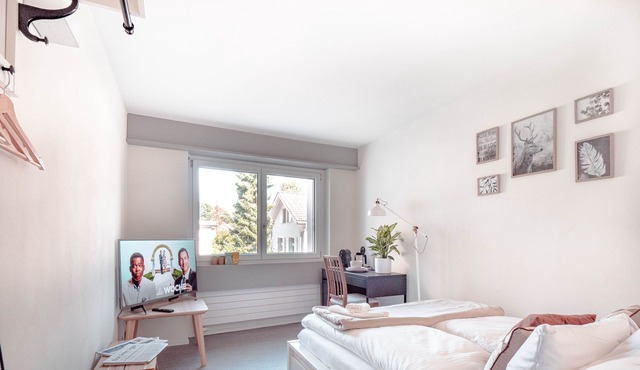 ★comfortable 1 BR-Apt with Netflix "cozy brown"★