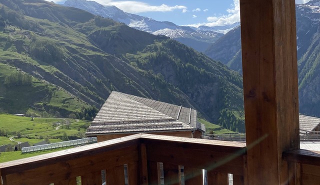 Comfortable 3P Pied de pistes, south-facing terrace with mountain view, garage-Chalet d'Orcieres