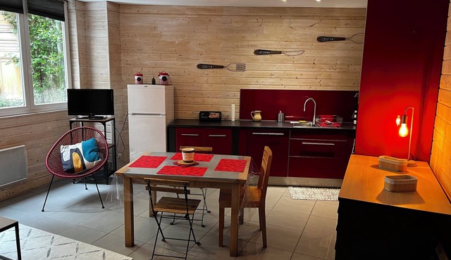 Comfortable 44m² apartment, Eaux-Bonnes, close to ski resorts and hiking trails