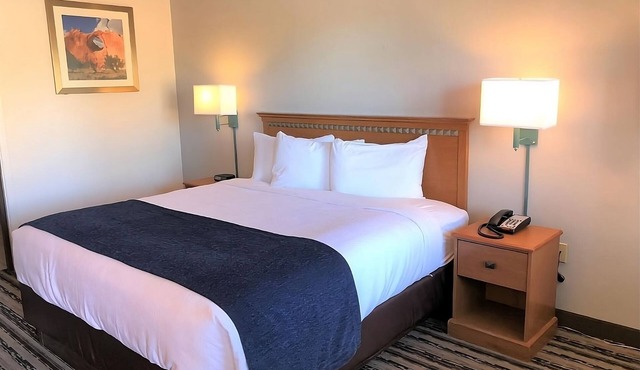 Comfortable Accommodation in a Cultural Destination! With Indoor Pool & Hot Tub!