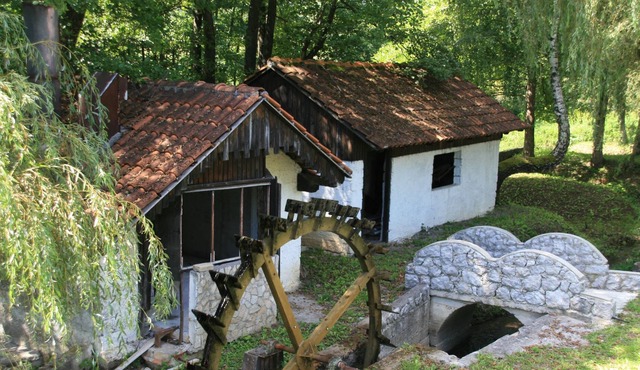 Comfortable and spacious apartment with terrace Josipdol, Gorski kotar (A-14304-a)