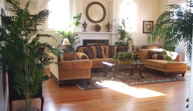 Comfortable and spacious 5-bedroom villa Sleeps 16