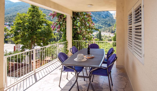 Comfortable and spacious apartment with terrace Trpanj (Pelješac) (A-11545-a)