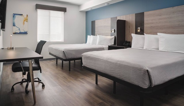 Comfortable and Convenient Retreat - Modern Suite, Pet-Friendly Amenities