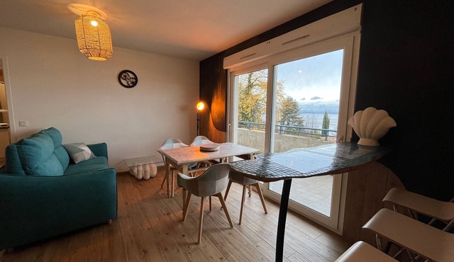 Comfortable apartment with pool and parking in Évian-les-Bains