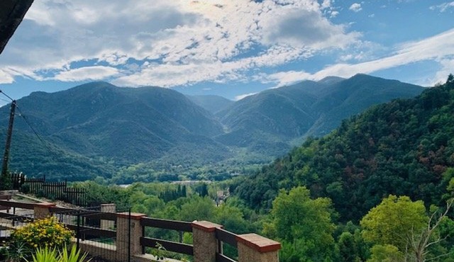 Comfortable apartment with parking and pets allowed in Arles-sur-Tech