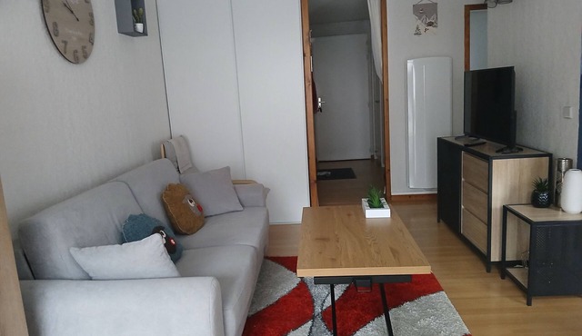 Comfortable apartment in LUZ SAINT SAUVEUR,