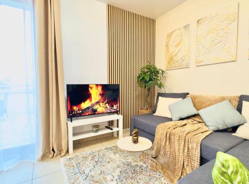 Comfortable Apartment with Balconies near Paris Center TramT9 & Metro7