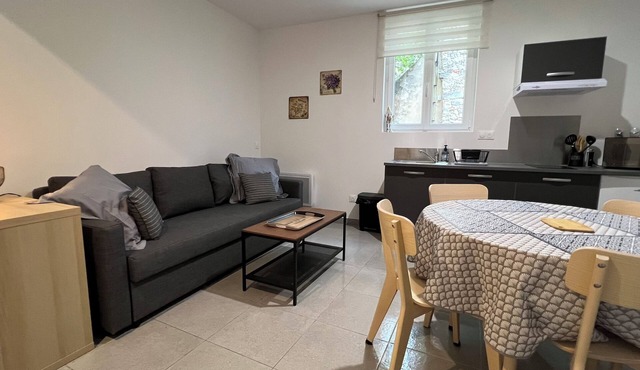 Comfortable apartment, T2, 40m², renovated ground floor, city center