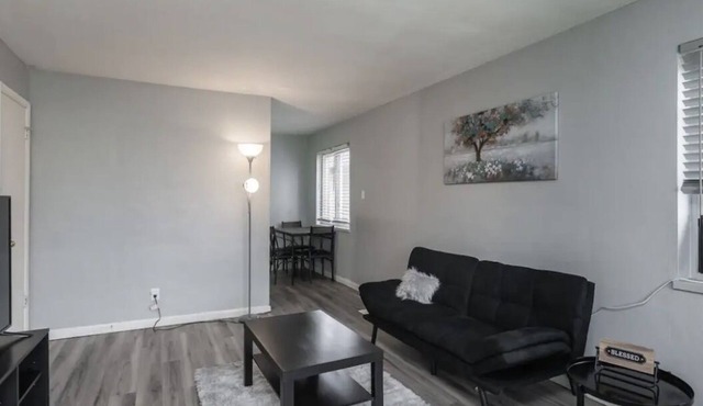 Comfortable apartment ; discount on extended stay available !