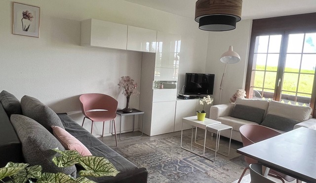 Comfortable apartment with balcony and view
