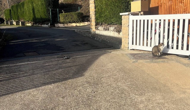 Comfortable, central accommodation