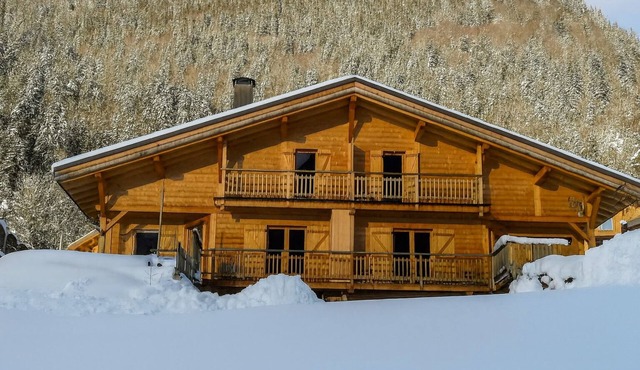 COMFORTABLE CHALET IN THE HEART OF THE BAUFORTAIN