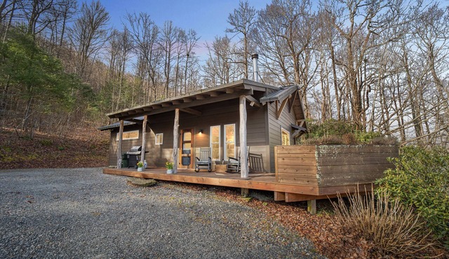 Comfortable cabin near wineries~hiking~Hendersonville