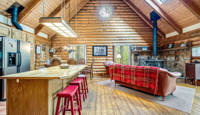 Comfortable cabin home w/wood fireplace, mountain views, National Forest access