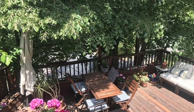 Comfortable Cambridge home with deck in walkable family neighborhood