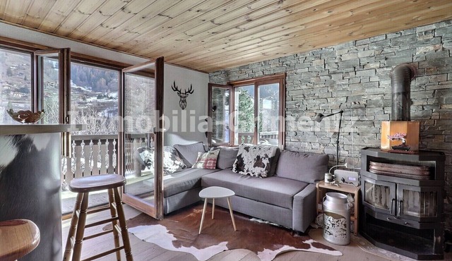Comfortable chalet on 3 levels for 5 people in Mayoux, living room with wood-burner, kitchen area wi