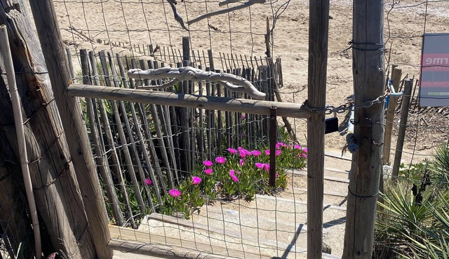 Comfortable chalet, ideally located, with direct beach access