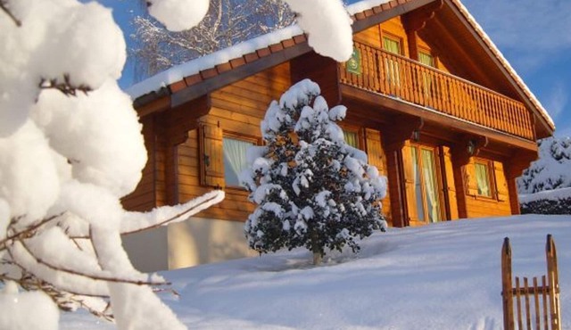 Comfortable chalet in Cleurie with WIFI, fireplace, and terrace