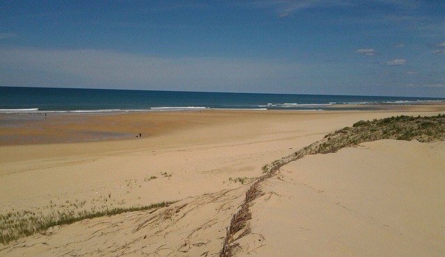 Comfortable chalet with private garden 4 km from the ocean in the Landes forest