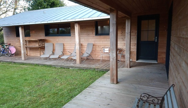 Comfortable contemporary house