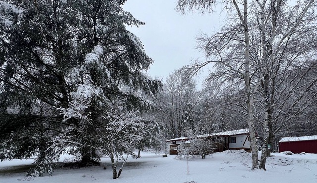 Comfortable dog-friendly home w/pond view, deck, gas grill, wifi, TVs, kitchen